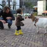 william_mari_goat